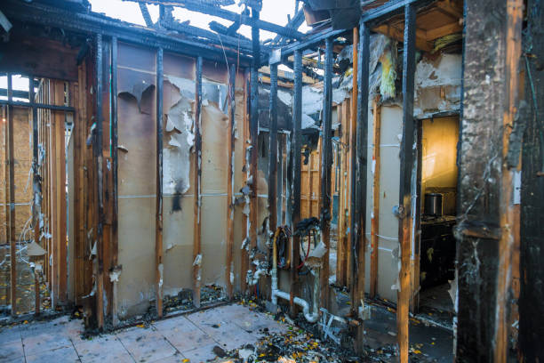 Professional Fire Damage Removal technician working in Lake Village, AR